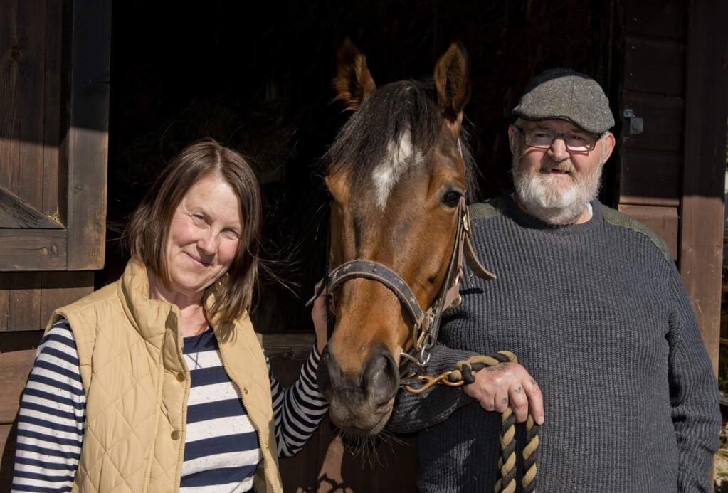Sony Pictures ClassicsJanet Vokes convinced her husband, Brian, and a number of friends and neighbors to support her quest to breed a racehorse. Their project, which produced Dream Alliance, is documented in “Dark Horse.”