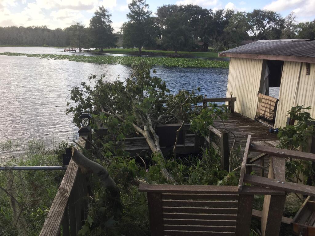 A downed tree in the backyard of Stuart Townsend's parents' home in Inverness, Florida caused by Tropical Storm Irma. (Photo by Stuart Townsend)