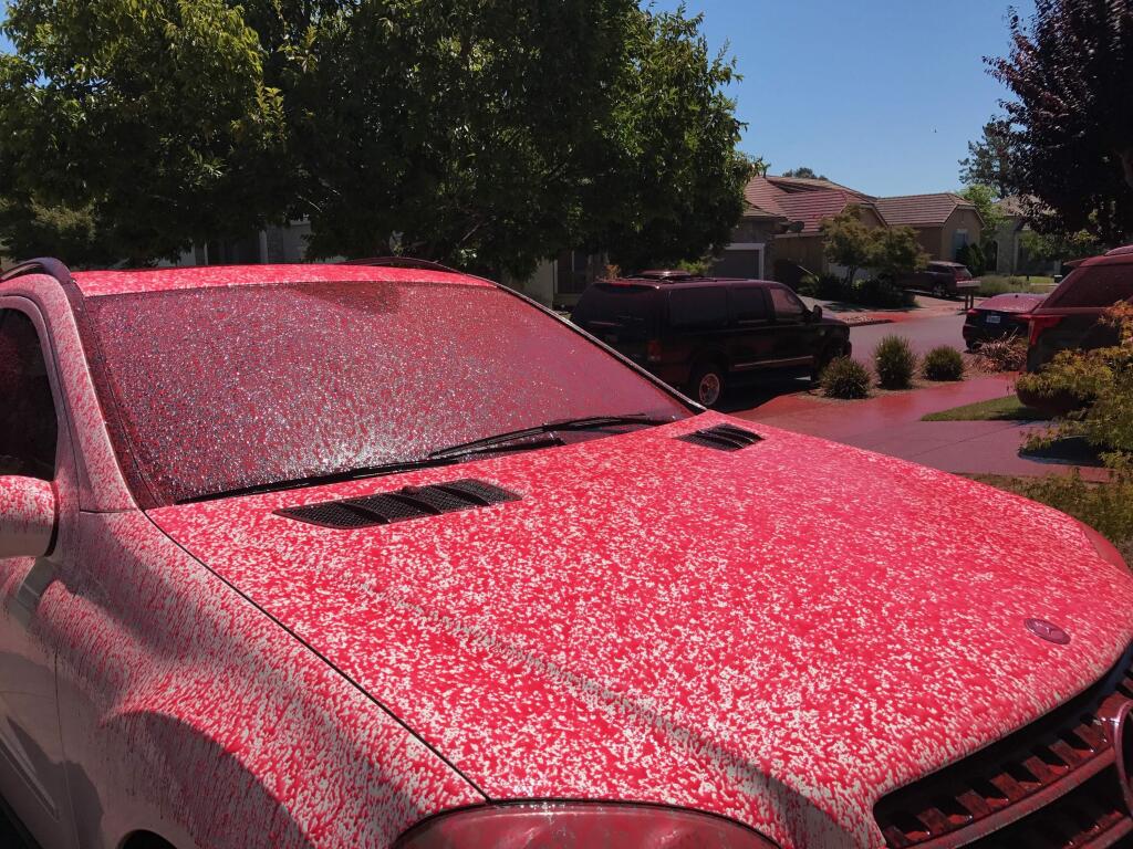 A plane dropped fire retardant onto a Windsor neighborhood, turning streets and vehicles bright pink. (COURTESY PHOTO)