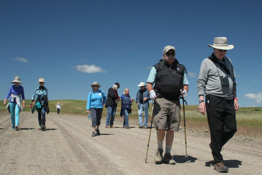 Hikers on the backroads of Sonoma Raceway, including Joanna Kemper, in blue, enjoy a sparkling day for a good cause, riaing funds for the restoration of the Overlook Trail. (Christian Kallen/Index-Tribune)