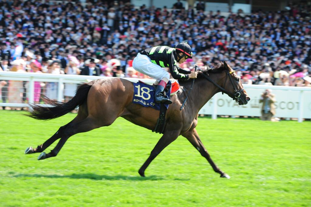 Jockey John Velazquez rides American filly Lady Aurelia to win at Royal Ascot for the second straight year on June 20, 2017, in Ascot, England. Bred in Kentucky by Stonestreet Stables, Lady Aurelia is owned by the Jackson family of Stonestreet Stables, George Bolton and Peter Leidel. ( JACKSON FAMILY WINES )