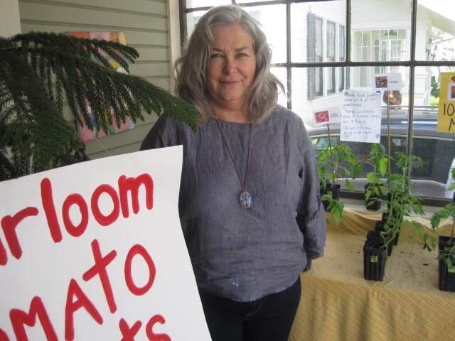 Suzie Dranit, creator of Mentor Me's annual Heirloom Tomato Plant Sale