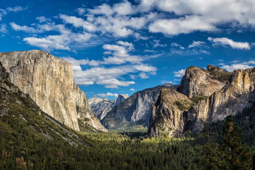 Yosemite National Park (Shutterstock)