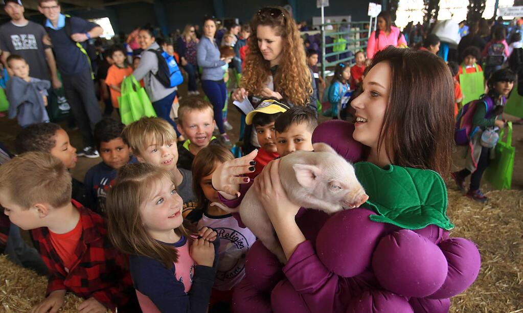 Children gather around Santa Rosa High School junior Jenna Perkins as she cares for a one week-old piglet from JDC farms of Santa Rosa, Tuesday, March 14, 2017 during the yearly Ag Days event at the Sonoma County Fairgrounds in Santa Rosa. (Kent Porter / The Press Democrat) 2017