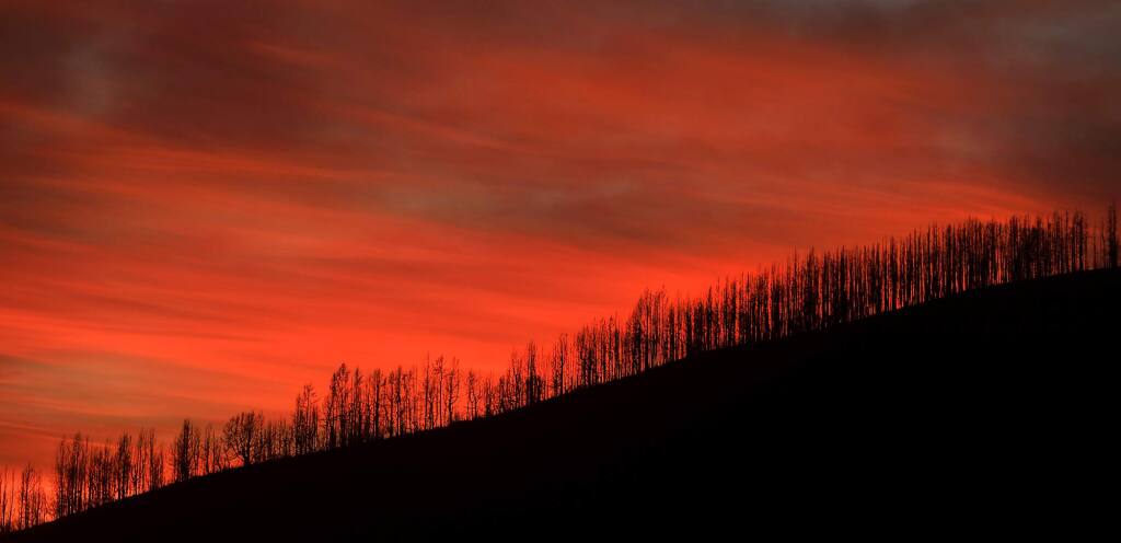 A nuclear sunset, highlights charred douglas fir and sugar pines Wednesday, Dec. 12, 2018 in the Mendocino National Forest. (Kent Porter / The Press Democrat) 2018