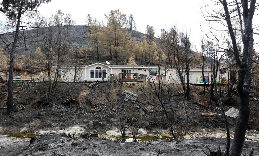 In this photo taken Wednesday, July 16, 2014, the home of Laila Jaffee and her family is surrounded by scorched vegetation from the Butts Fire that swept through the area near Pope Valley, Calif. (AP Photo/Rich Pedroncelli)