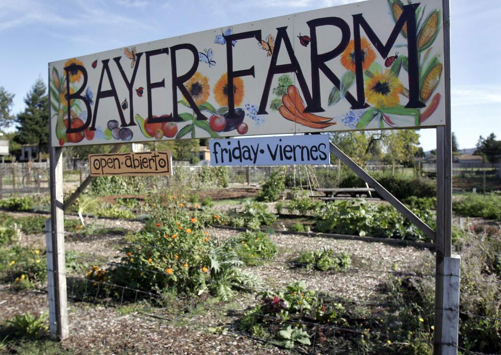 Bayer Farm on West Avenue, Santa Rosa.