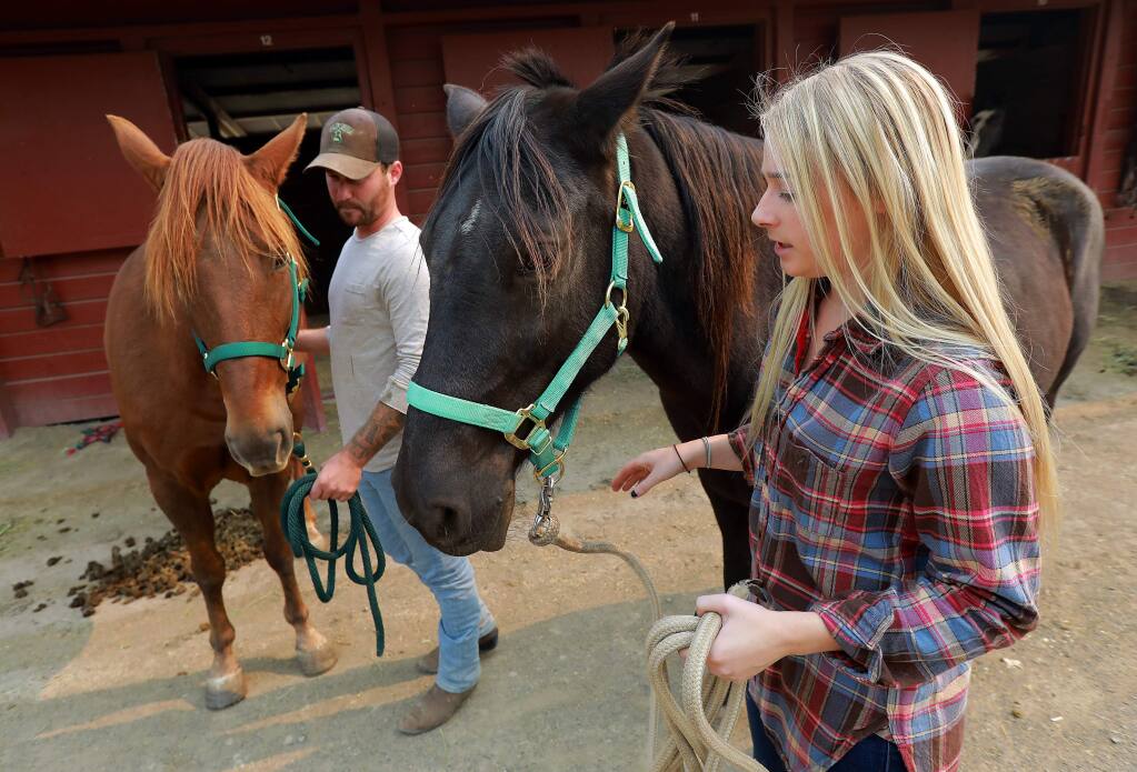 Morgan Peterson, left, evacuated her horses from Petaluma Hill Rd. with the help of friend Ryan Horton. They ended up at the large animal shelter at the Sonoma County Fairgrounds on Tuesday. (photo by John Burgess/The Press Democrat)