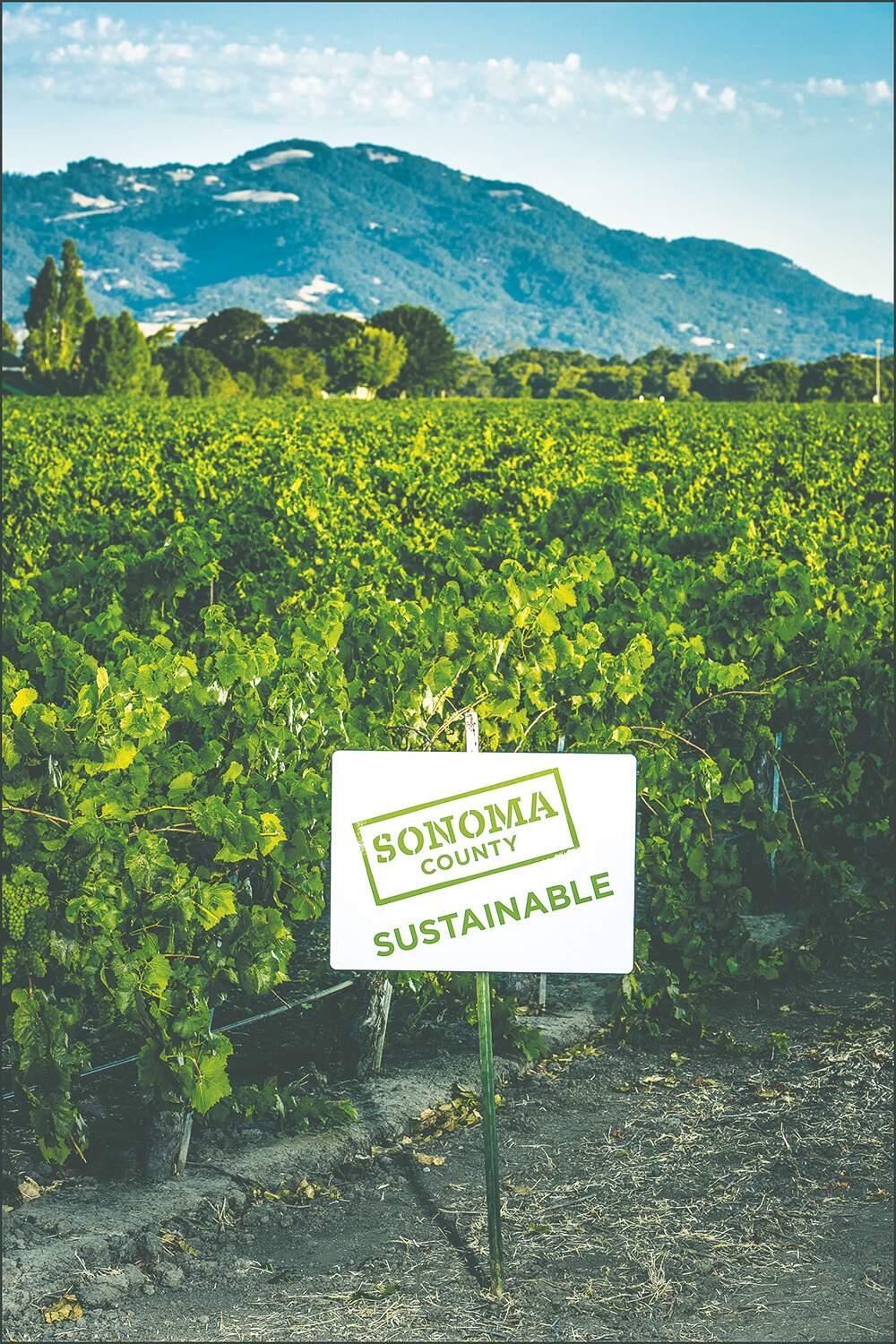 Sonoma County wine group is pledged to make the county wine industry 100% sustainable.