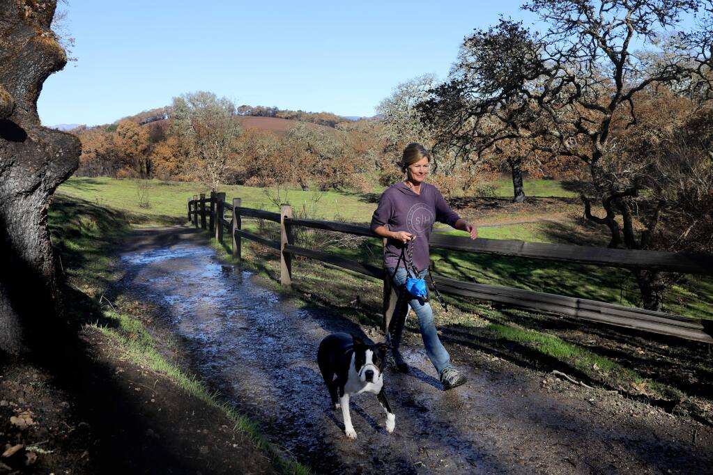 Jennifer Alvarez and her dog, Roxie, take a walk along a trail at Foothill Regional Park in Windsor on Monday, Dec. 30, 2019. (BETH SCHLANKER/The Press Democrat)