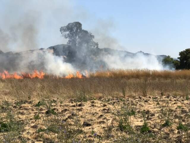 A fire burned part of a 20-acre field in southwest Santa Rosa on Tuesday, Aug. 8, 2017. (COURTESY OF SANTA ROSA FIRE DEPARTMENT)