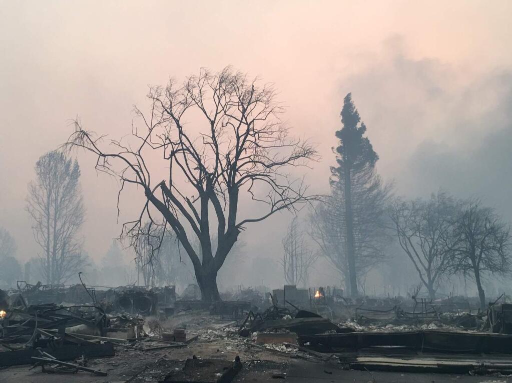 Fire burns the Coffey Park neighborhood of Santa Rosa on Monday, Oct. 9, 2017. (KENT PORTER/ The Press Democrat)