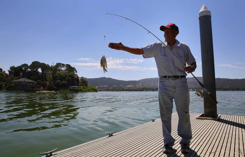 Preston Coleman pulls a bluegill from Clear Lake, while fishing in Clearlake Oaks, on Thursday, July 28, 2016. (Christopher Chung/ The Press Democrat)