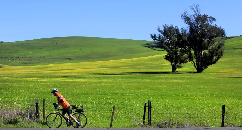 Don Coursey of Ukiah begins his ride again after stopping to admire the scenery at Walker and Pepper roads in west Sonoma County, Monday Feb. 8, 2016. (KENT PORTER/ PD)
