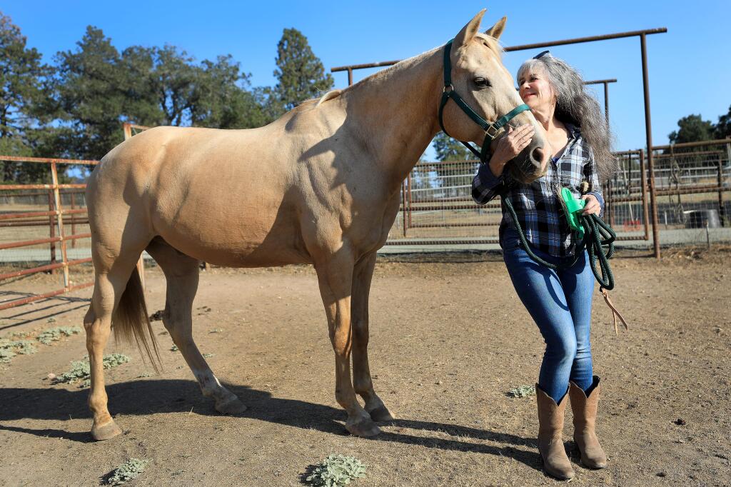 Julie Atwood with Sunny, a horse at her ranch in Glen Ellen, Monday, Aug. 19, 2019. Atwood founded the HALTER project, which provides information to first responders and communities for animal emergencies. (KENT PORTER/ The Press Democrat)