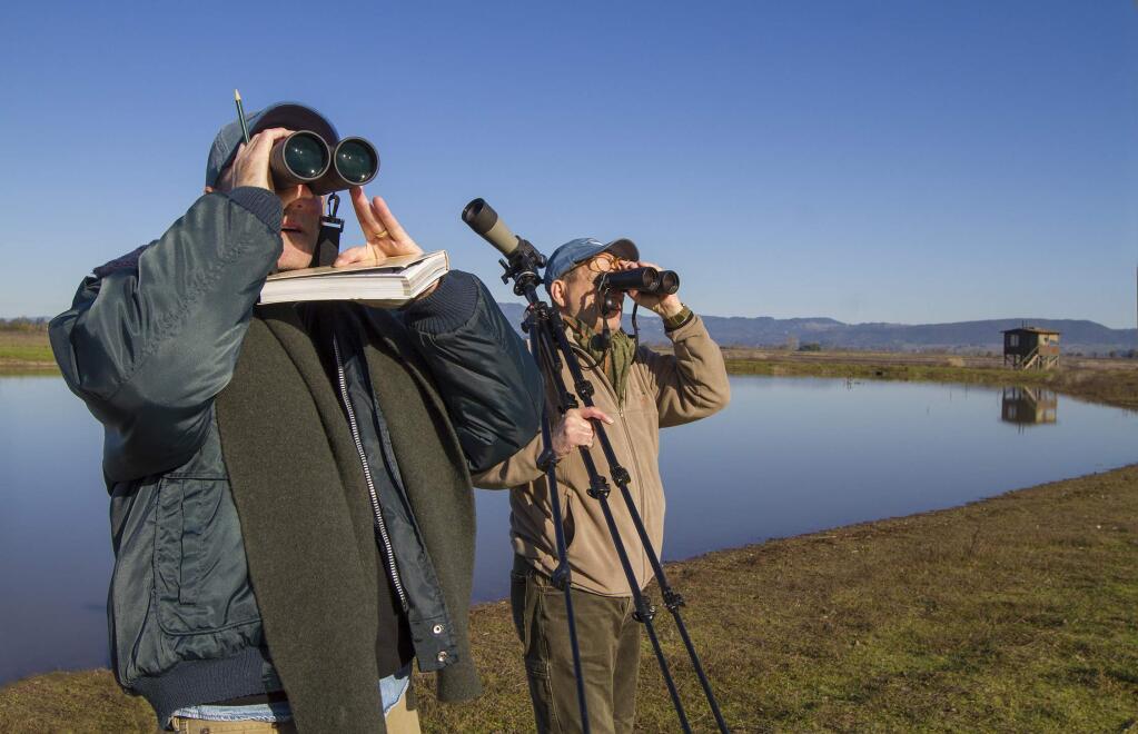 Darren Peterie (left) and Tom Rusert logged - among many others - Wilson's snipes, green-winged teals, western meadowlarks and northern shrikes at the Viansa wetlands.The 12th Annual Sonoma Valley Audubon Christmas Bird Count took place from dawn to dusk on Friday, December 30. (Photo by Robbi Pengelly/Index-Tribune)