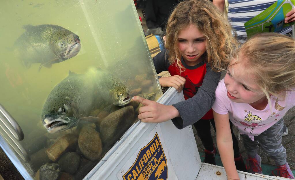 Ethan, 9, and Giuliana Bowars, 6, of Santa Rosa get up close and personal with steelhead trout at the Milt Brandt Visitors Center at Lake Sonoma on Saturday. (photo by John Burgess/The Press Democrat)