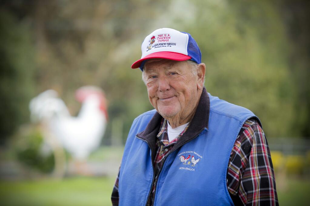 Petaluma, CA, USA. Monday, December 05, 2016._ Bob McCoy, a chicken rancher who raises meat birds in Petaluma, just turned 78.(CRISSY PASCUAL/ARGUS-COURIER STAFF)