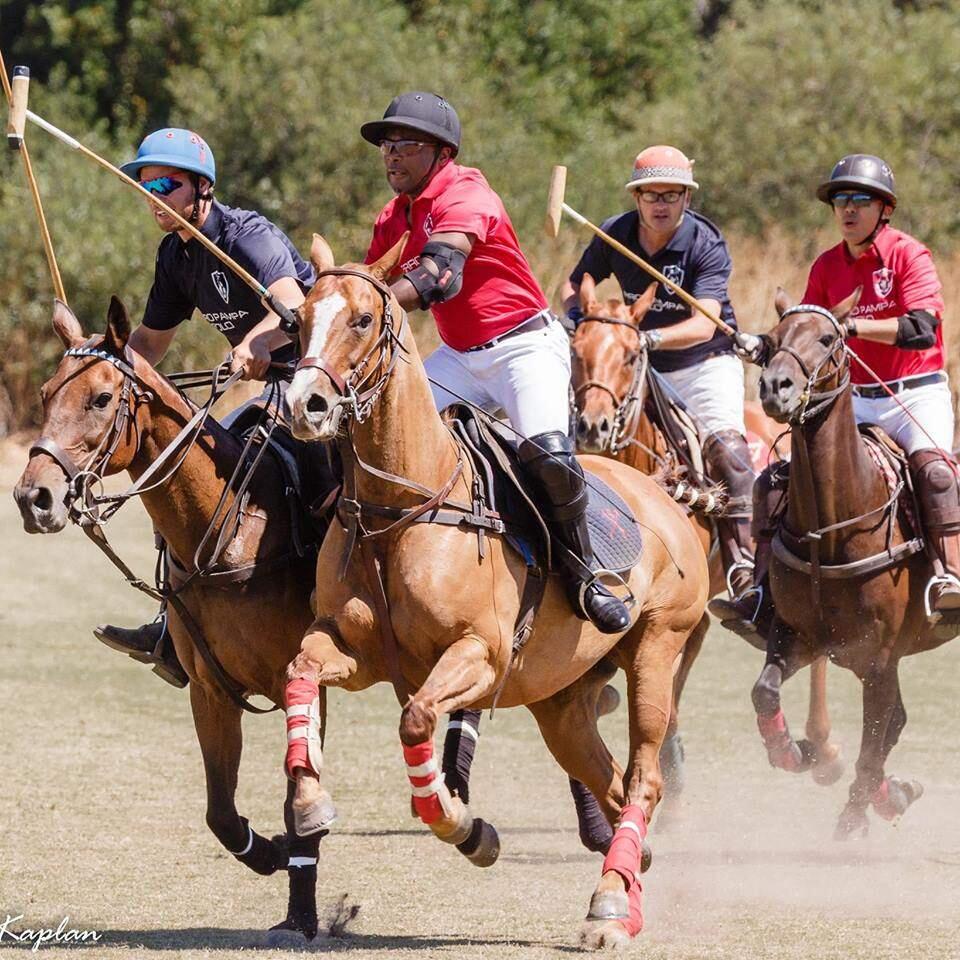 NOT JUST HORSING AROUND - The Oyster Cup Charity Polo Tournament takes place Saturday, Aug. 25.