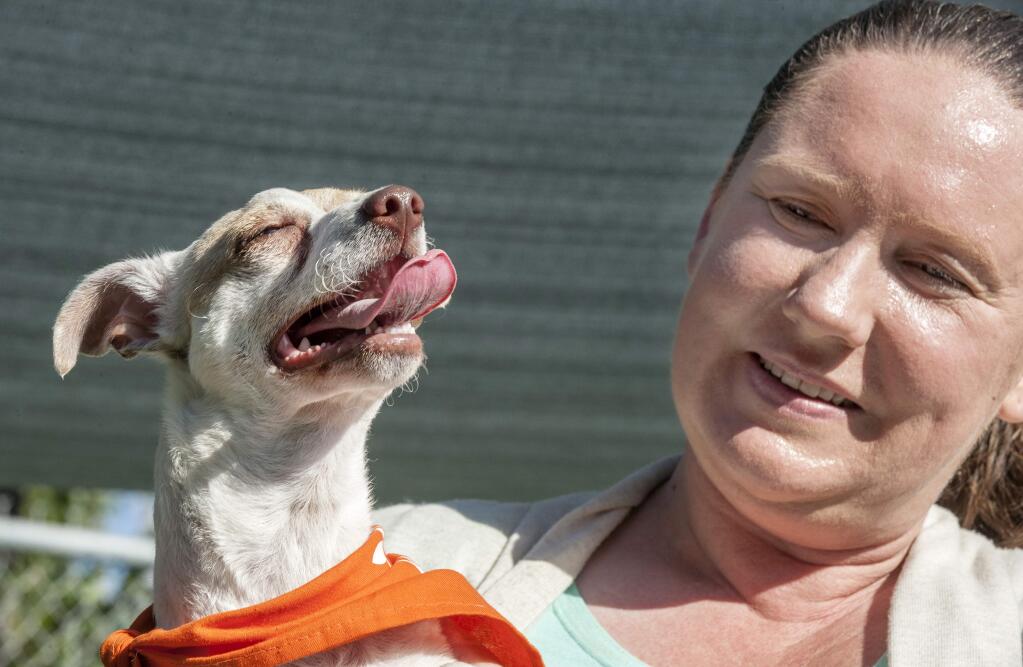 Katie Ingram, assistant director for Orange County Animal Care, holds Bubba, a puppy who underwent four months of treatment for exposure to illegal narcotics, in Orange, Calif., Wednesday, July 20, 2016. Bubba was found high on methamphetamine and heroin in a Southern California motel room. He drug-free, he up for adoption. (Mark Rightmire/The Orange County Register via AP)