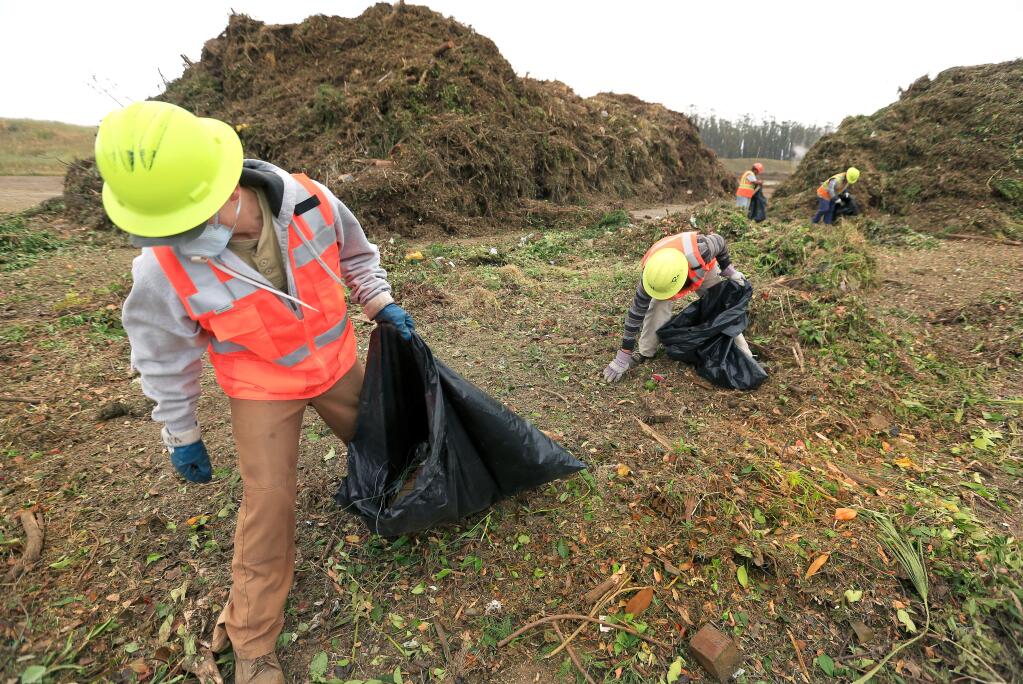 Sonoma Compost Company workers Gustino Sanchez and Vicente Villasnenor pick up trash in raw vegetation material at the Sonoma County Landfill in 2015. (KENT PORTER/ PD FILE)