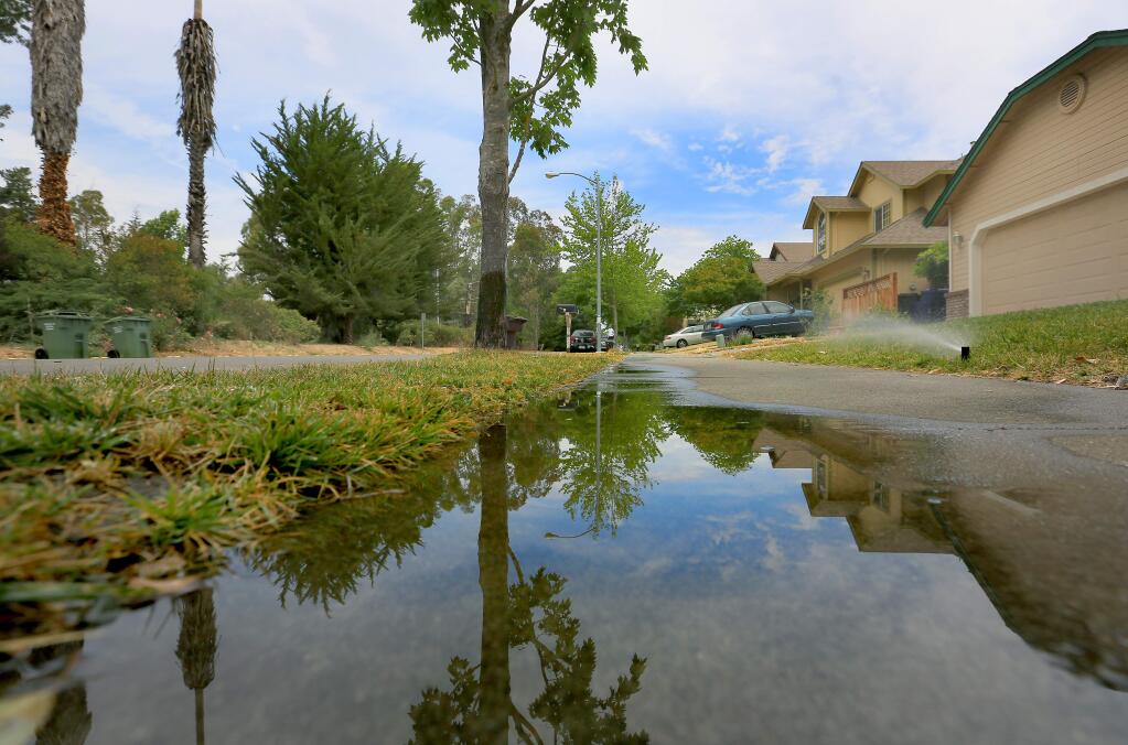 Sprinklers run midday in the front yard of a home on Francisco Way, allowing water to pool on the sidewalk in Santa Rosa, Tuesday July 15, 2014. The City of Santa Rosa is set to revisit its water rate structure on Dec. 1, 2015. (Kent Porter / Press Democrat).