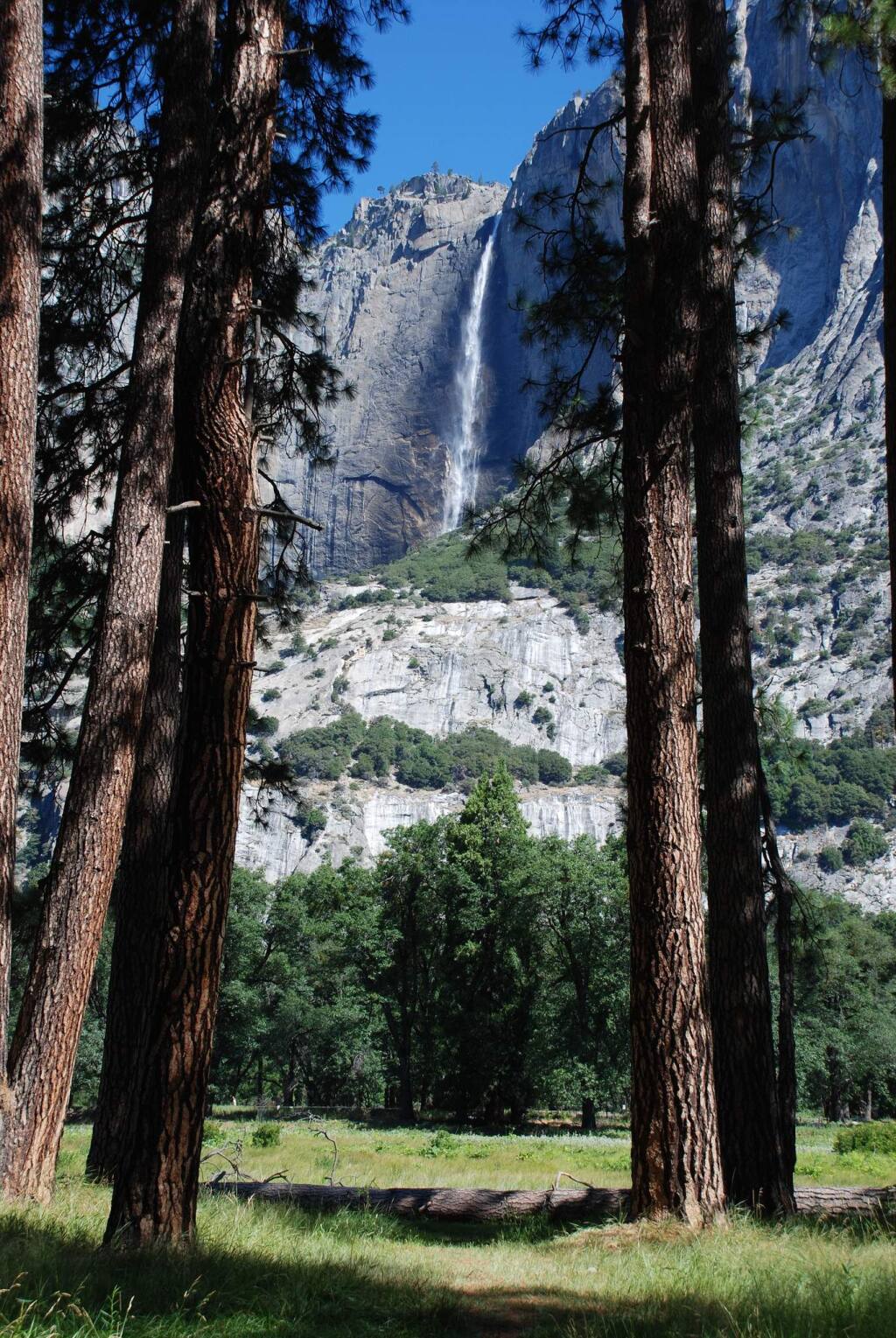 Yosemite Falls (MICHAEL SHAPIRO)