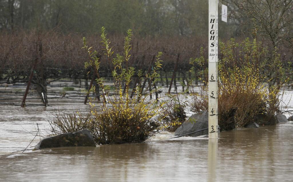 Rising flood water makes its way past a marker and into a vineyard Wednesday, Feb. 27, 2019, near Forestville, Calif. (AP Photo/Eric Risberg)