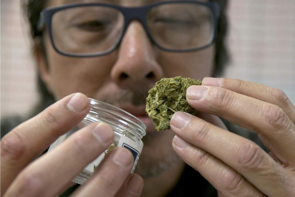 Joseph Hough, an employee at the Canna Care medical marijuana dispensary, displays a pre-packaged marijuana bud Wednesday, June 14, 2017, in Sacramento, Calif. Tucked in the state budget agreement reached between Gov. Jerry Brown and top legislative Democrats, are standards to merge the state's new voter-approved recreational marijuana law with the long-standing medical marijuana program. Lawmakers are expected to vote on the budget plan, Thursday. (AP Photo/Rich Pedroncelli)