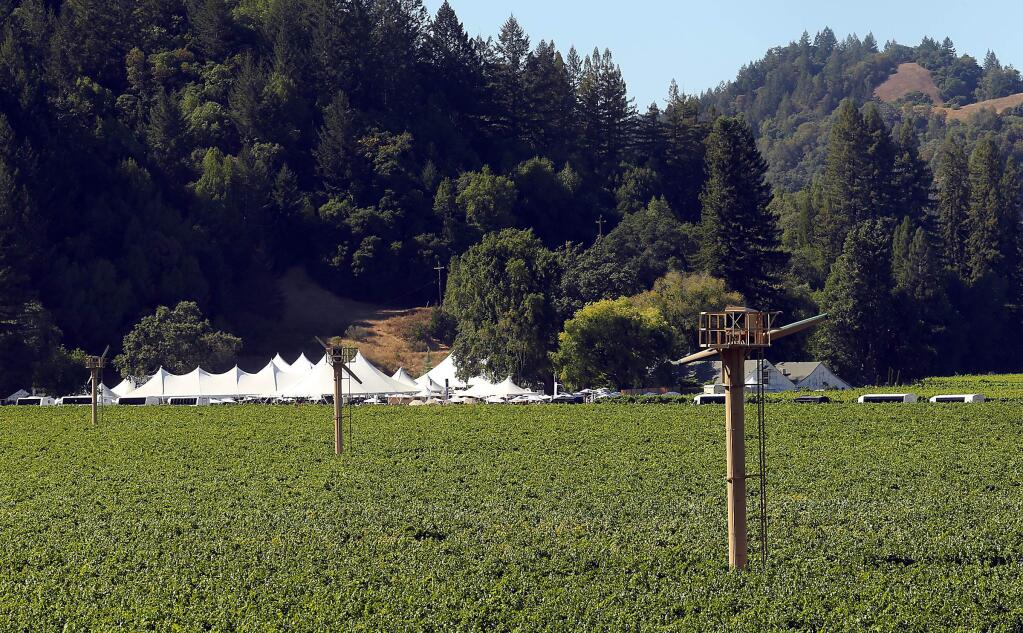 Sonoma County grape growers have been warned to watch for arsonists in their vineyards after a suspicious fire near MacMurray Ranch in Healdsburg on Friday afternoon. (JOHN BURGESS / The Press Democrat)