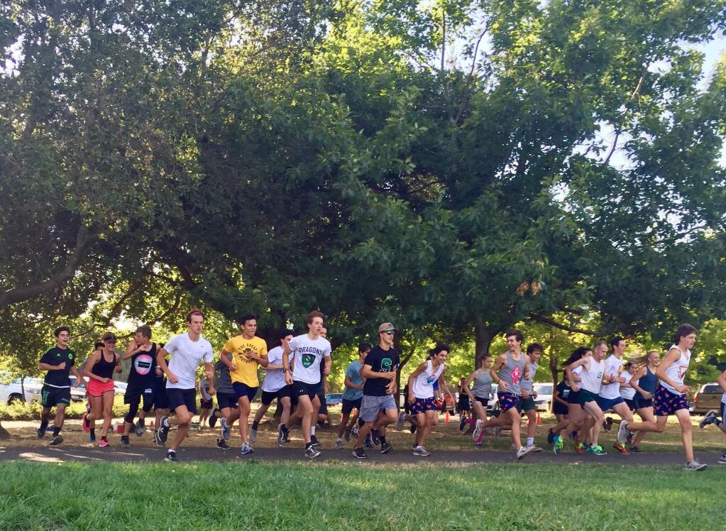 A slew of Sonoma Valley runners, and two alumni, take off from under the oaks at Maxwell Farms Regional Park on Wednesday afternoon, Sept. 4, for the annual Alumni Meet that kicks off the Cross Country season. (SUBMITTED)