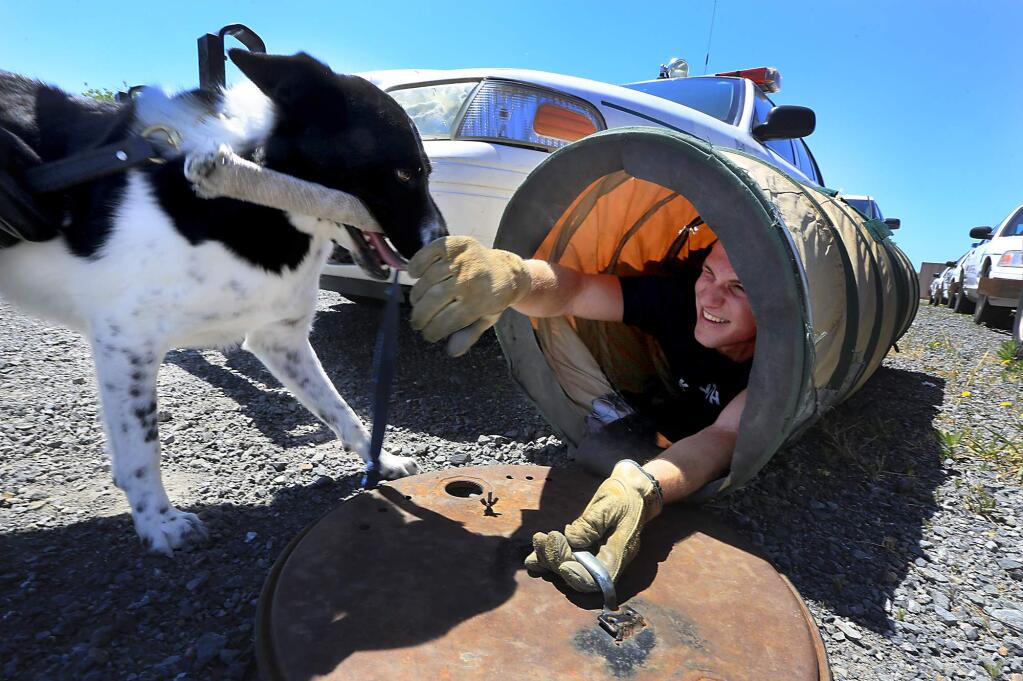 Rocket, a member of the California Urban Search and Rescue Task Force finds 'victim' Harrison Kauth during training with Sonoma County Sheriff's helicopter Henry-1 on Wednesday. (JOHN BURGESS / The Press Democrat)