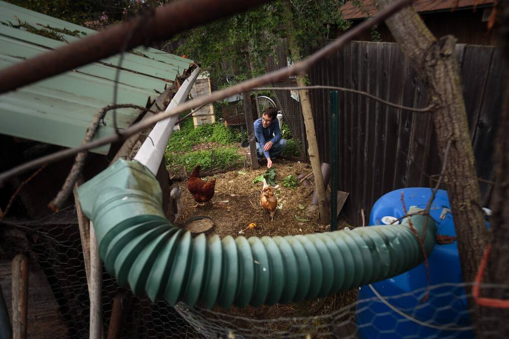 Trathen Heckman, the founder and executive director of Daily Acts in Petaluma, has a recycled chicken coop and a rainwater catch system to automatically water the birds.