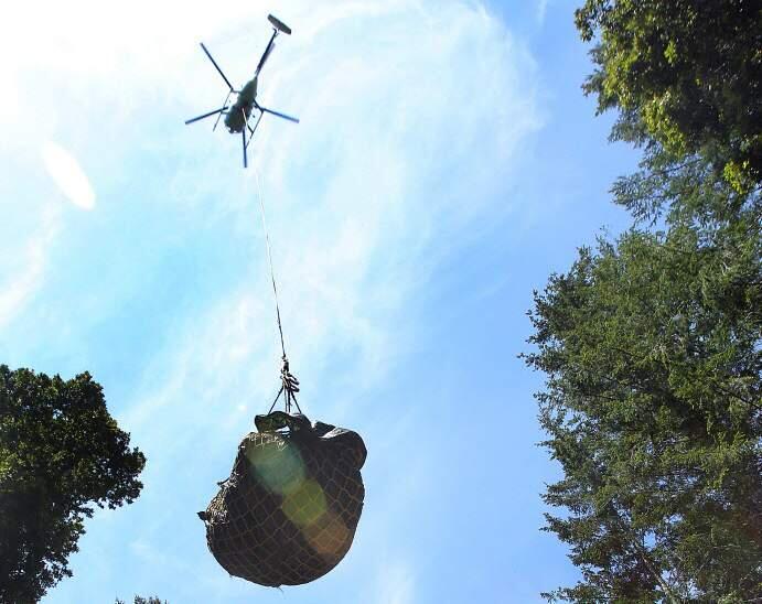 A helicopter leaves with a load of trash taken from a marijuana grow site on the Mendocino Redwood Co. land south of the town of Elk on Saturday, July 9, 2014. (The Press Democrat)