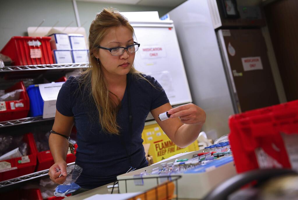 Pharmacy technician Somphet Pheauboonma fulfills orders in the pharmacy at Petaluma Valley Hospital, in Petaluma, on Wednesday, November 25, 2015. Pheauboonma, 31, came to the USA when she was 17-months-old, with her mother.(Christopher Chung/ The Press Democrat)