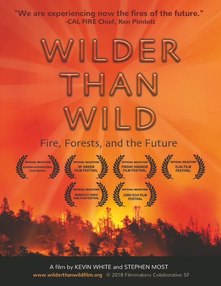 The poster for the fire documentary screening in Sonoma.