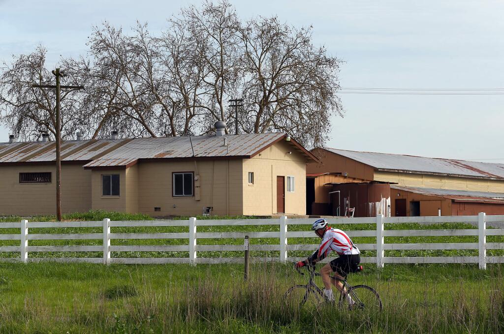 A bicyclist rides along the Joe Rodota Trail past a former dairy that a Napa County vintner is proposing a large winery and distillery, along Highway 12, east of Llano Road, on Monday, Feb. 2, 2015. (CHRISTOPHER CHUNG/ PD)