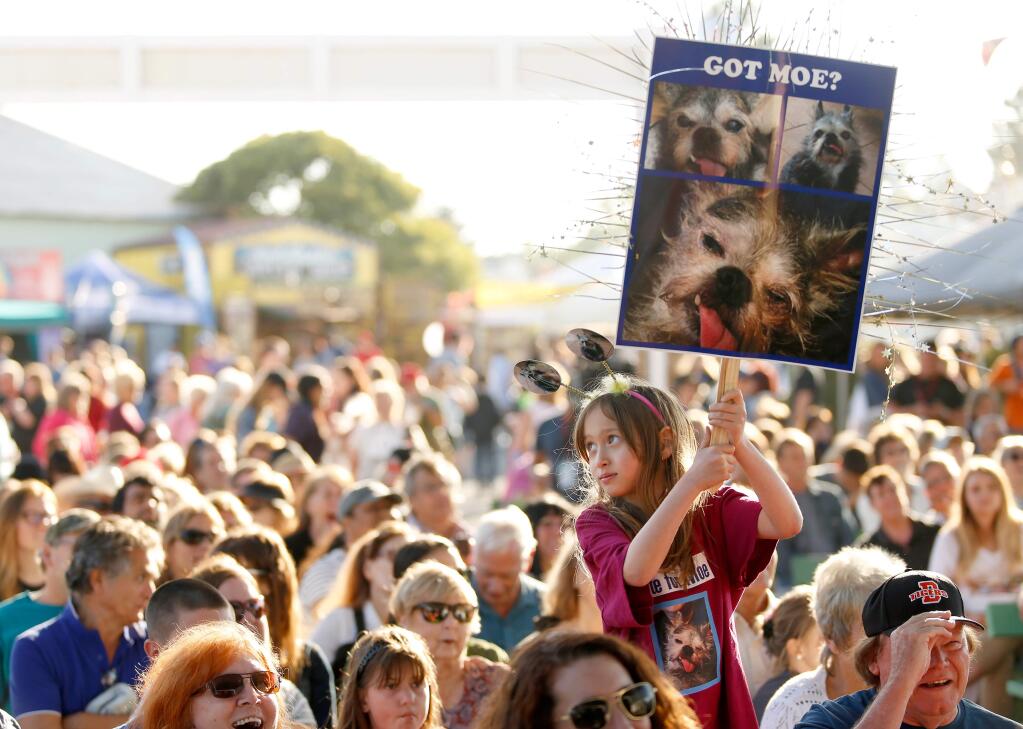 A lottery-drawn citizens committee recommended future uses for the Sonoma-Marin Fairgrounds, which hosts the world’s ugliest dog competition. (ALVIN JORNADA The Press Democrat, 2017)