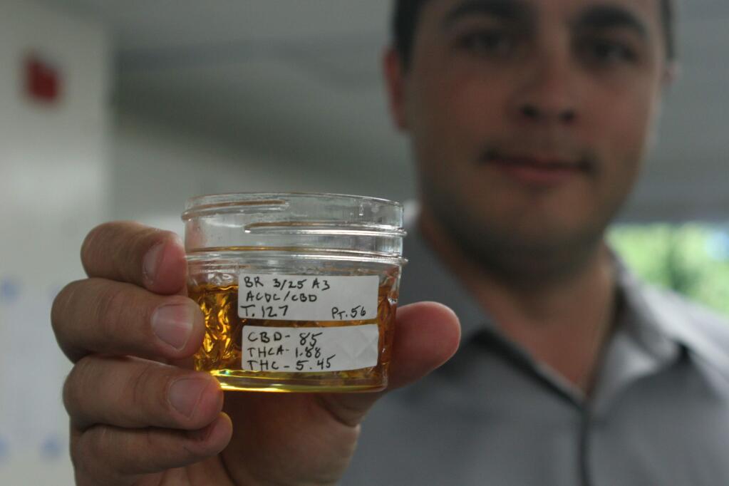 Nick Caston of Santa Rosa's CannaCraft displays a highly refined sample of cannabis oils, identified by the percentage of its components DBC, THCA and THC, at the end of a lengthy process of distillation and purification of medical cannabis. (Christian Kallen / Sonoma Index-Tribune)