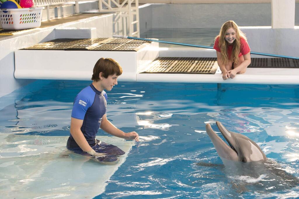 Alcon EntertainmentNathan Gamble as Sawyer Nelson and Cozi Zuehlsdorff as Hazel Haskett return in 'Dolphin Tale 2' as the team tries to find a pool mate for Winter the Dolphin.