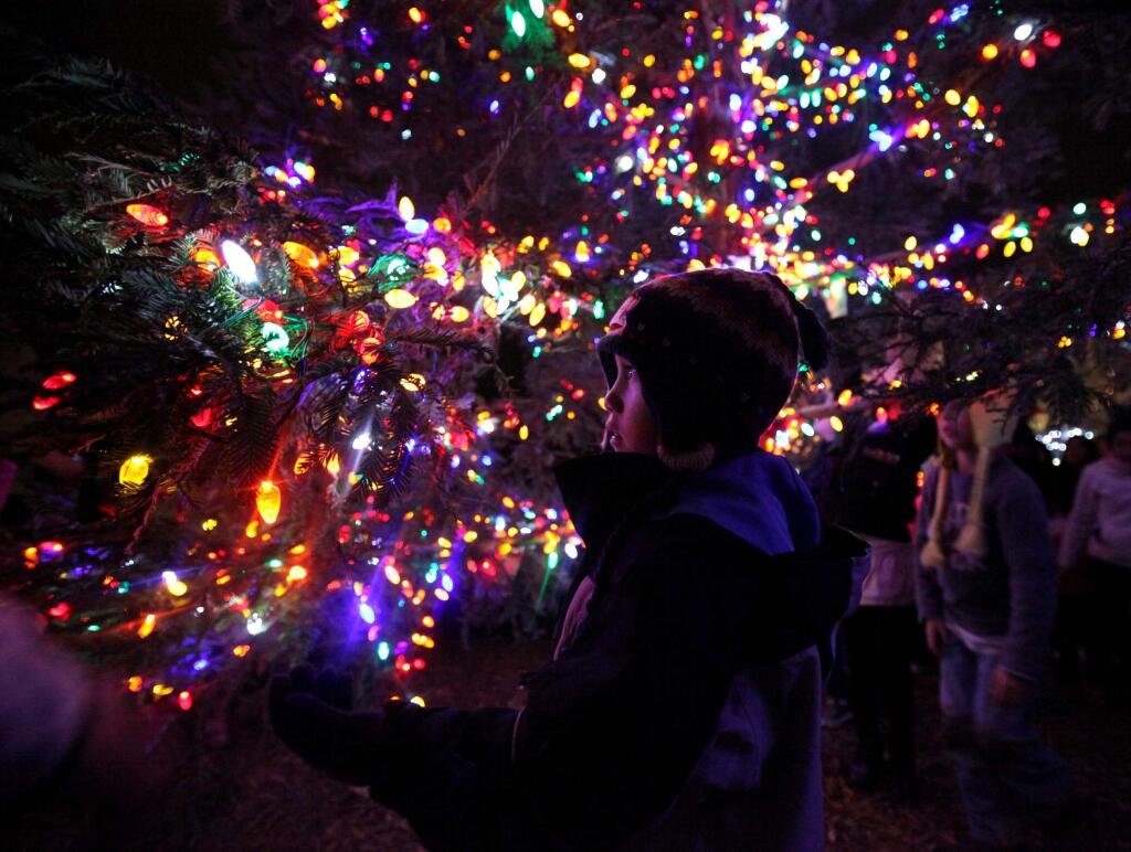 Logan Colorado, 5, is awed by the lights on the Christmas tree following the tree lighting ceremony at the Windsor Town Green on Thursday, Dec. 2, 2010. (Christopher Chung/ The Press Democrat)
