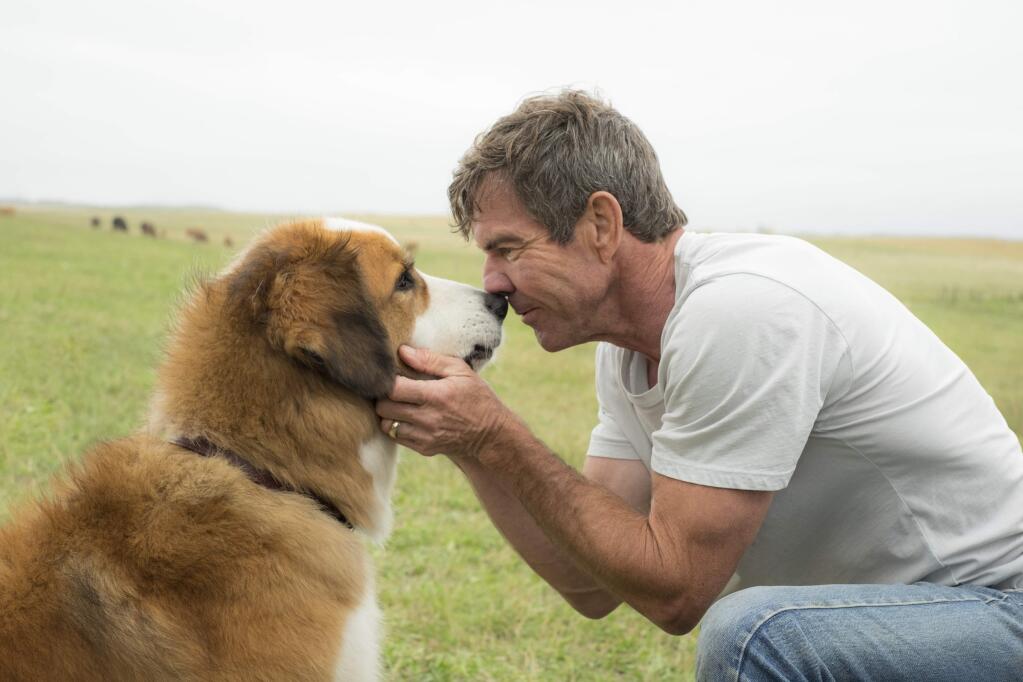 This image released by Universal Pictures shows Dennis Quaid with a dog, voiced by Josh Gad, in a scene from 'A Dog's Purpose.' A spokesman for American Humane said Wednesday, Jan. 18, 2017 that it has suspended its safety representative who worked on the set of the film when a frightened German shepherd, not shown, was forced into churning waters. (Joe Lederer/Universal Pictures via AP)