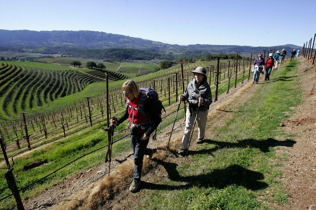 Christa Teitelbaum, Glen Ellen, left, and Elaine Dengler, Santa Rosa hike with a group of about 100 hikers through a terraced vineyard while on a guided hike on the Kunde Estate in Kenwood on Saturday morning Feb. 9, 2013. (PD FILE)