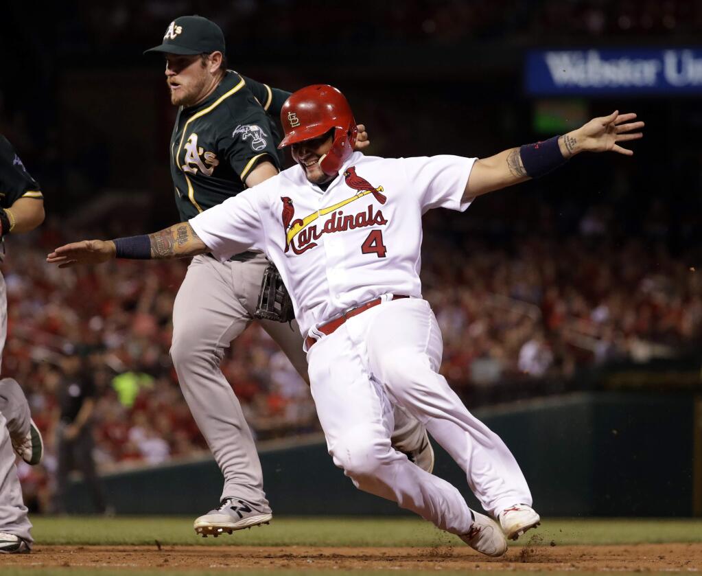 St. Louis Cardinals' Yadier Molina (4) is unable to get back to first before being tagged out by Oakland Athletics second baseman Max Muncy after he was caught between first and second during the sixth inning Friday, Aug. 26, 2016, in St. Louis. (AP Photo/Jeff Roberson)