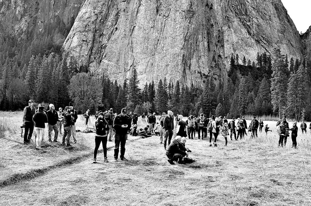 Ted Distel Crowds watch and wait anxiously in El Capitan Meadow as Kevin Jorgeson and Tommy Caldwell close in on the top of their ascent of El Capitan's Dawn Wall at Yosemite National Park.