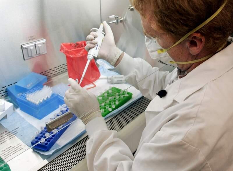 In this file photo, a molecular scientist in British Columbia, Canada, looks for the presence of viral RNA in swabs. Four cases of avian flu have been detected in Sonoma County, but authorities say the risk to humans is minimal. (AP Photo/CP,Chuck Stoody)