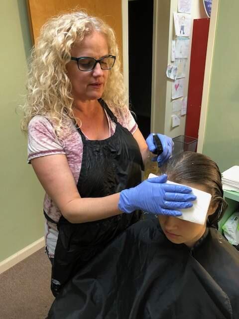 NIT PICKING - Shawn Williams, of Petaluma Nit Flix, treats a customer's head lice in her sowntown Petaluma salon.