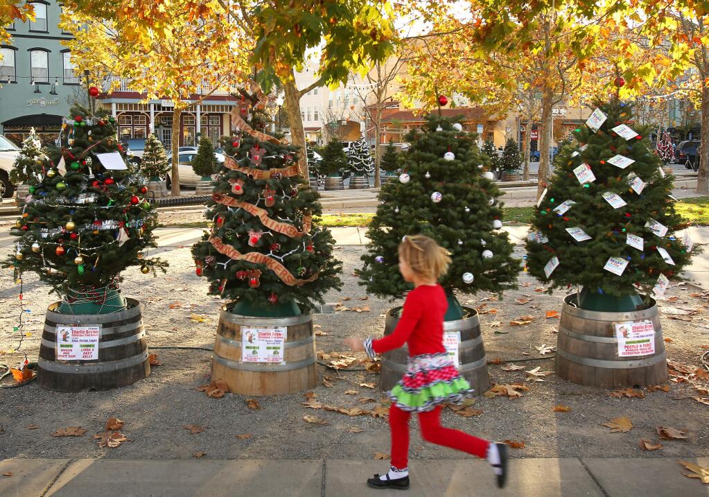 Charlie Brown Christmas Tree Grove in Windsor. (Conner Jay/ The Press Democrat, 2013)