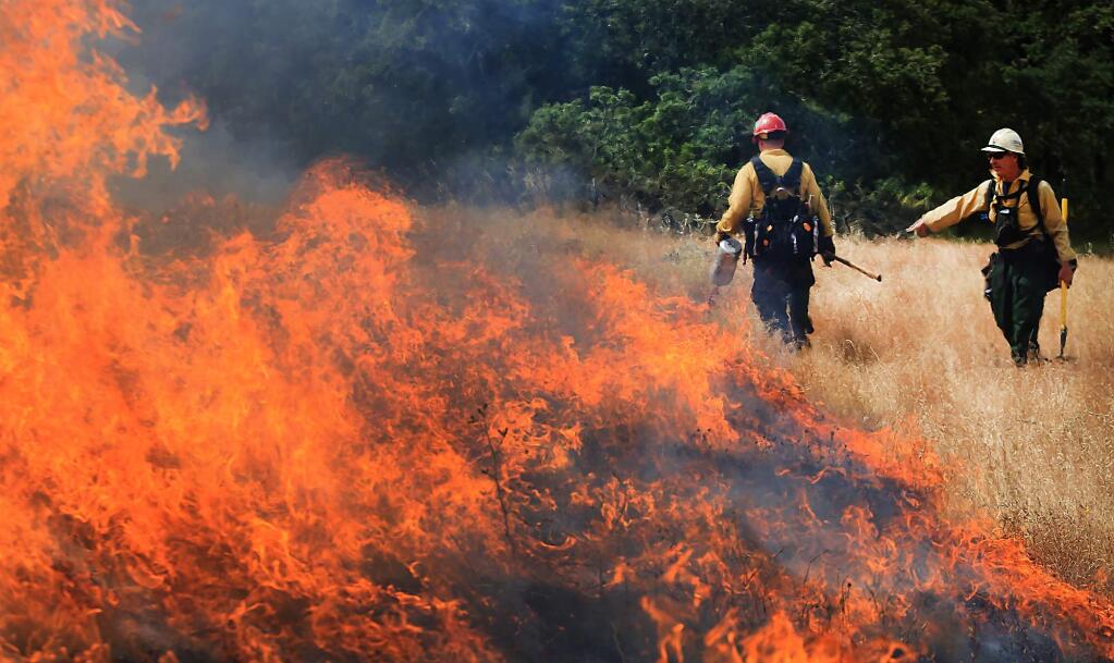 Cal Fire, local Sonoma County firefighters and the National Park Service take part in a control burn at the Bouverie Preserve in Glen Ellen, Tuesday May 30, 2017. (Kent Porter / The Press Democrat) 2017