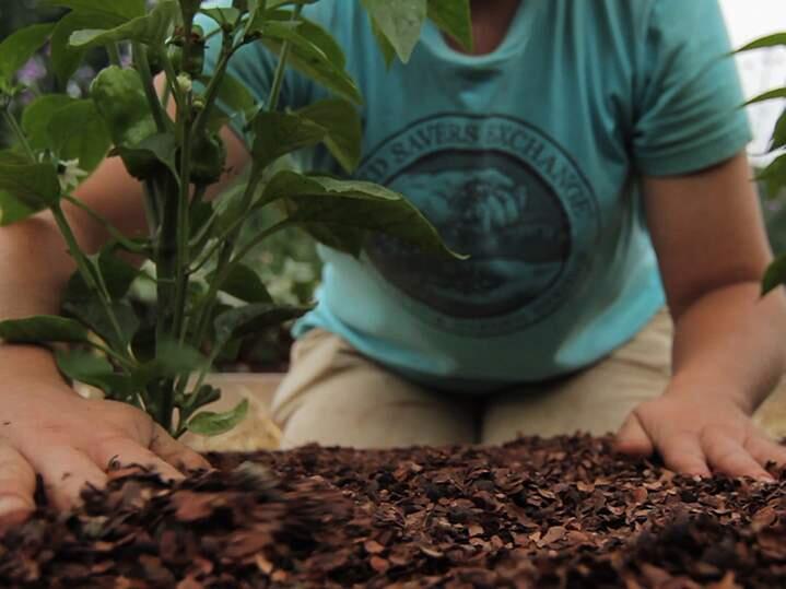 Screen still from the film “Seeds of Time,” showing May 6 at SHED in Healdsburg. (seedsoftimemovie.com)